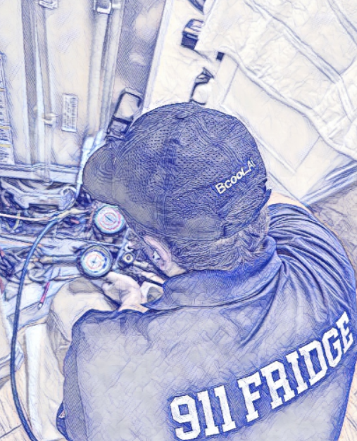 Liebherr Evaporator Coil Replacement, (Sealed System Repair)